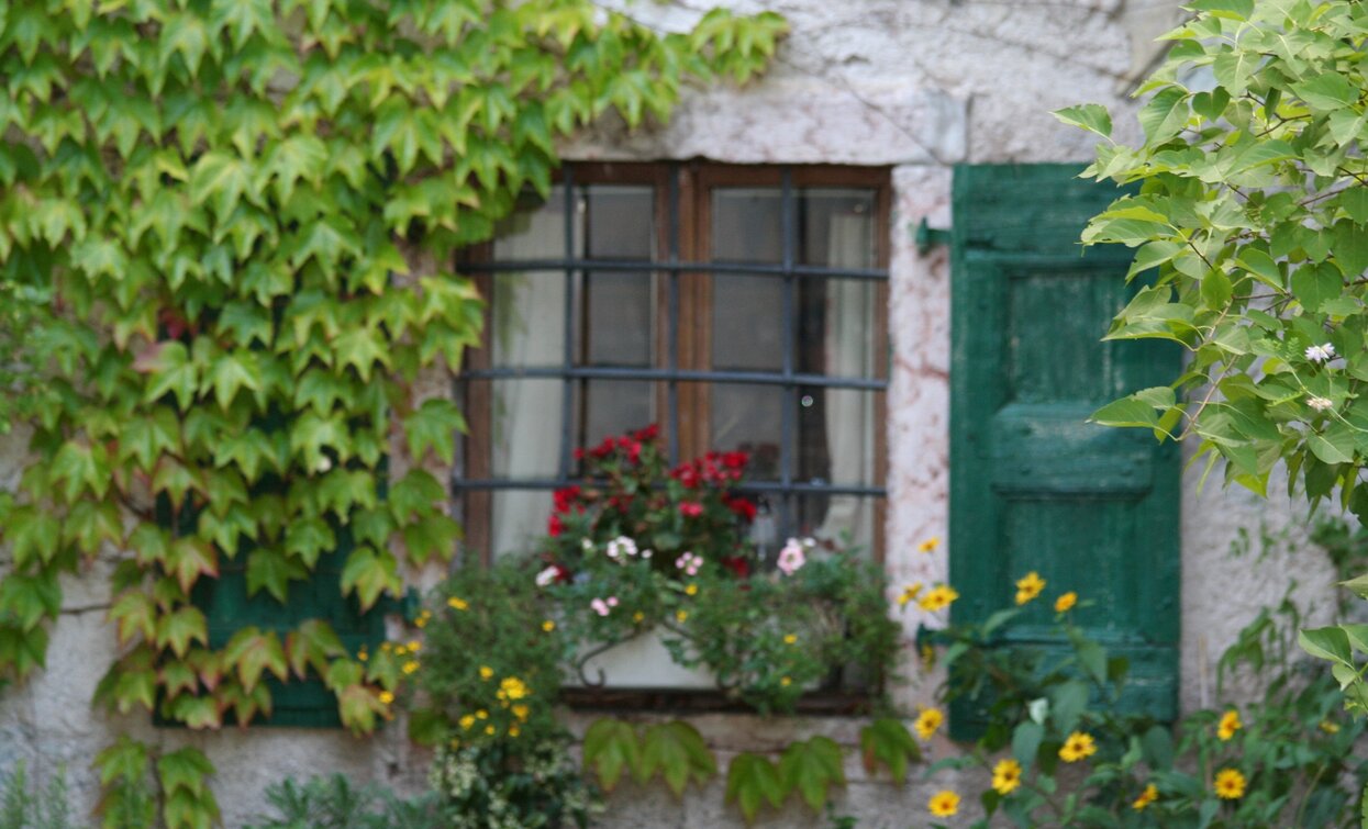Green windows | © APT Terme di Comano Dolomiti di Brenta, Garda Trentino 