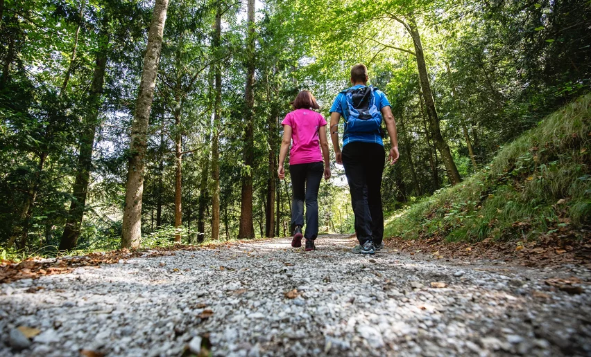 Walking in the woods | © Fototeca Trentino Sviluppo foto di A. Russolo, Garda Trentino