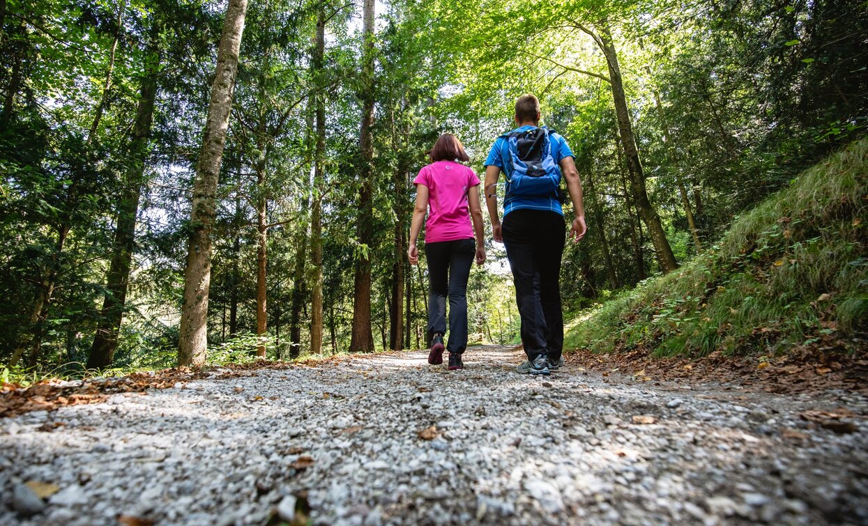 Camminare nel bosco | © Fototeca Trentino Sviluppo foto di A. Russolo, Garda Trentino 