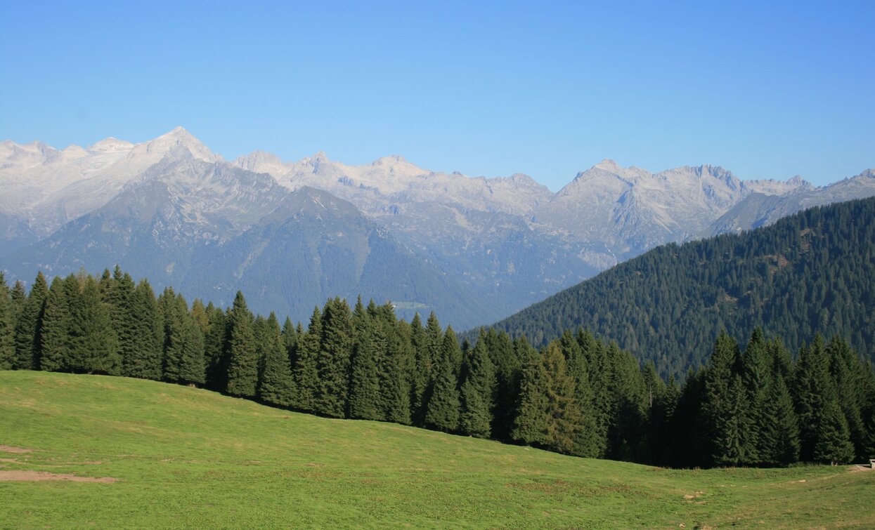 Val Algone: nel Parco Naturale Adamello Brenta | © Staff Outdoor Garda Trentino VN, North Lake Garda Trentino 
