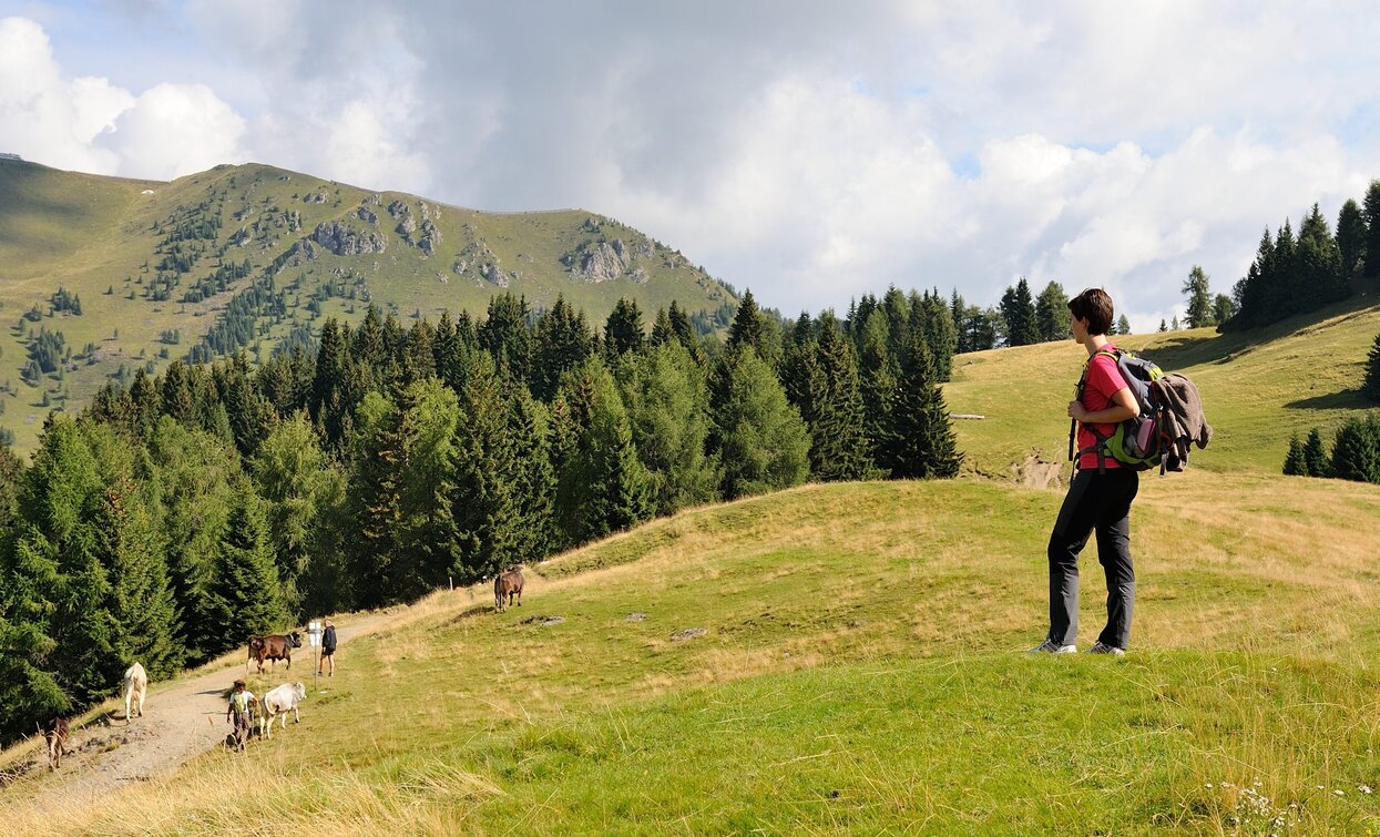 Trekking in Val Algone, in the heart of the Adamello Brenta Nature Park | © M. Corradi, North Lake Garda Trentino 