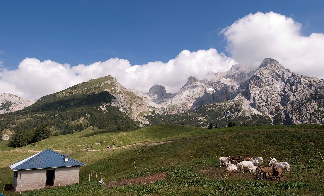 © Fototeca Trentino Marketing foto di P. Fiorini, North Lake Garda Trentino 