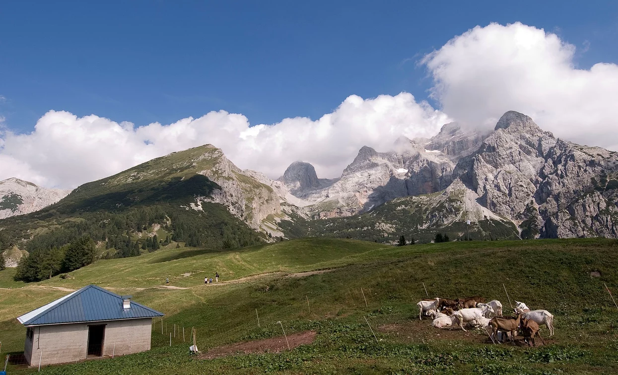 © Fototeca Trentino Marketing foto di P. Fiorini, North Lake Garda Trentino 