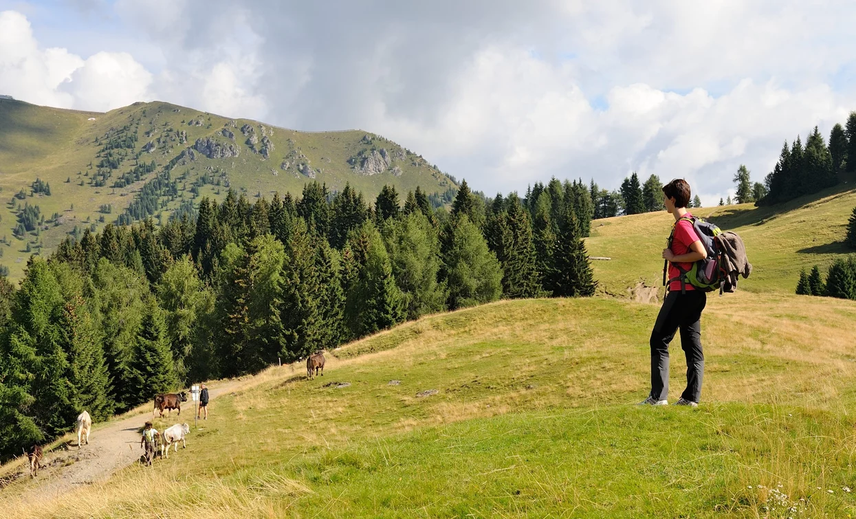 Wandern im Val Algone, im Herzen des Naturparks Adamello Brenta | © M. Corradi, North Lake Garda Trentino 