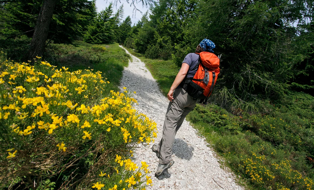 Trekking in montagna in Val Algone - Parco Naturale Adamello Brenta | © Staff Outdoor Garda Trentino VN, Garda Trentino 