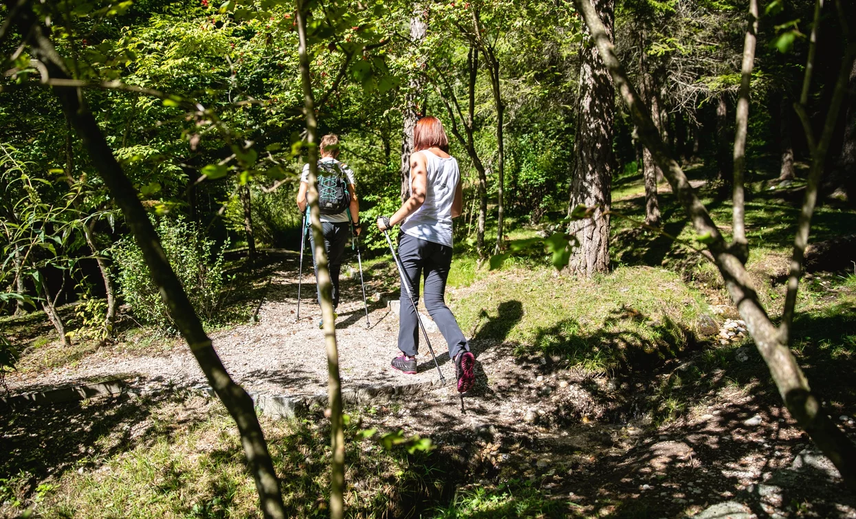 walking in the forest | © Fototeca Trentino Sviluppo foto di A. Russolo, Garda Trentino 