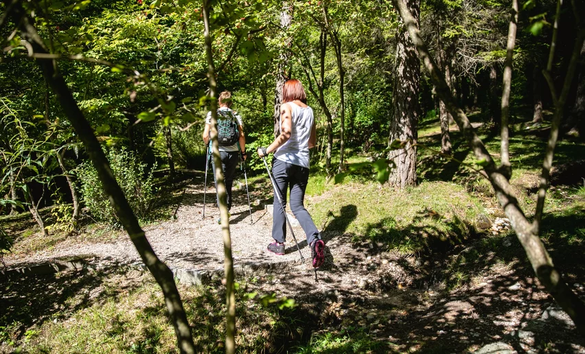 walking in the forest | © Fototeca Trentino Sviluppo foto di A. Russolo, Garda Trentino 