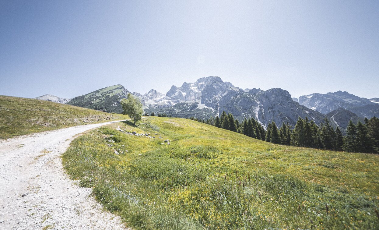 View from Algone-valley | © Archivio Garda Trentino (ph. Watchsome), Garda Trentino 
