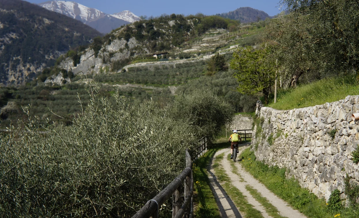 La strada "Pil" che conduce a Tenno | © M. Giacomello , Garda Trentino 