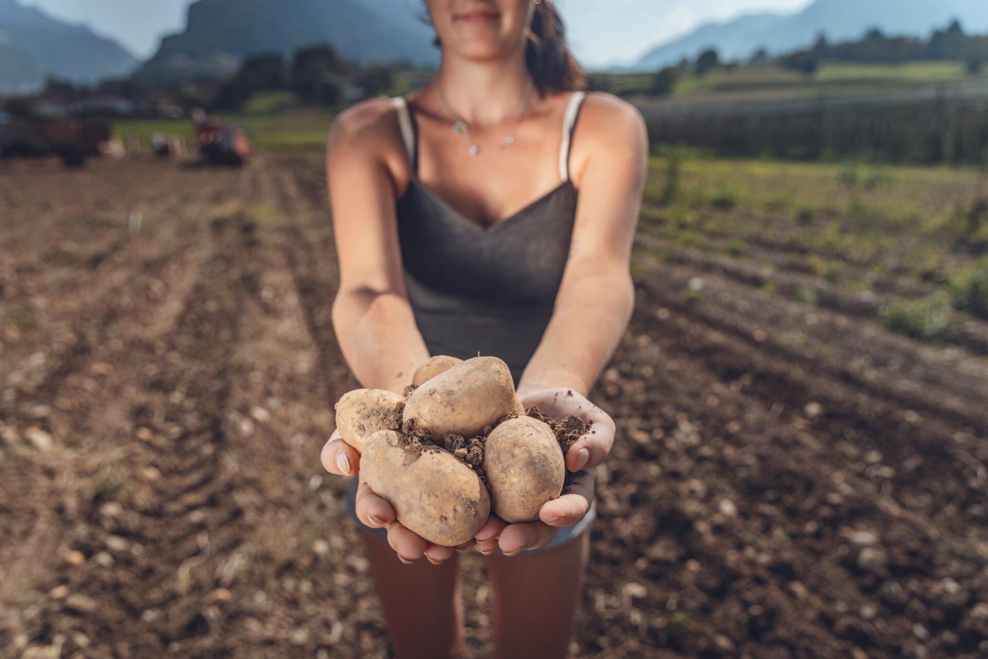 Donna con patate raccolte in un campo — Festa della Patata del Lomaso
