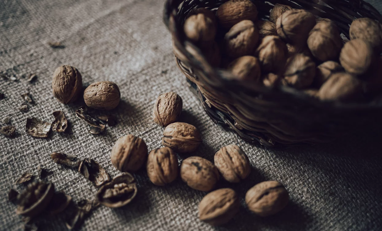 Walnuts from Bleggio - Lake Garda