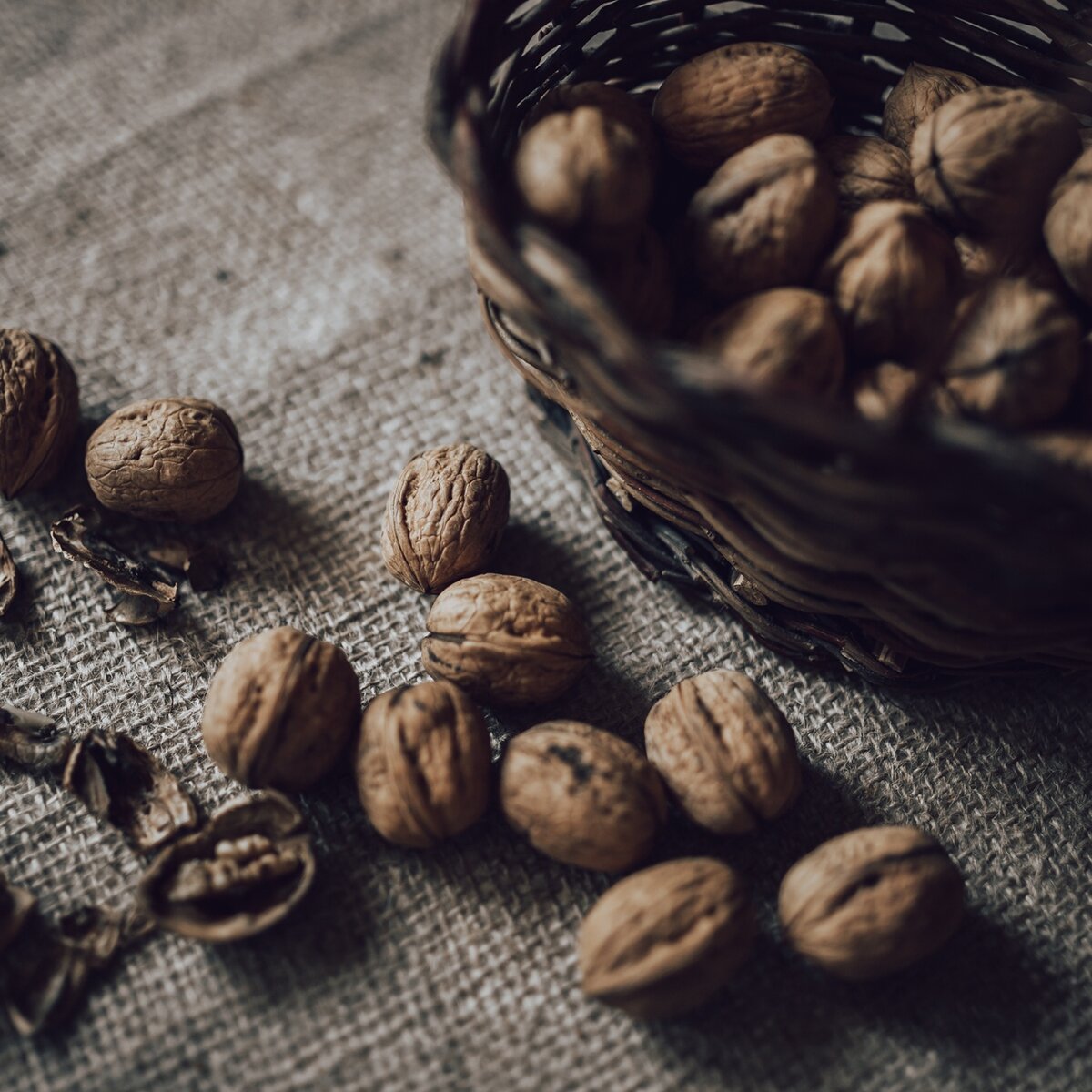 Walnuts from Bleggio - Lake Garda