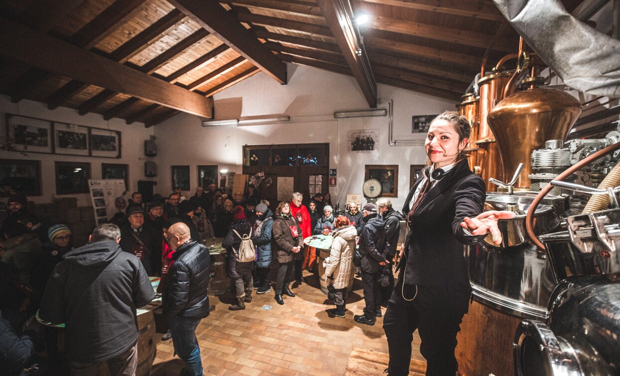 Notte degli Alambicchi Santa Massenza - Garda Trentino