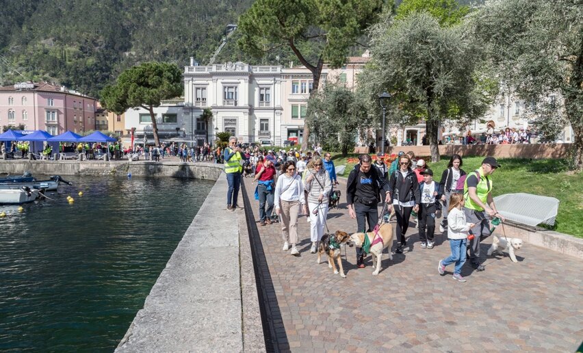 Maratona a sei zampe