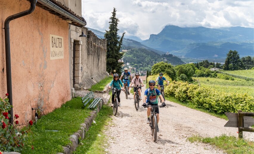 Trentino Wine Experience