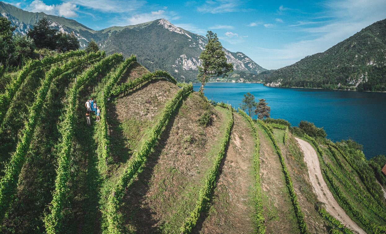 Degustazione Sartori Ledro - Garda Trentino