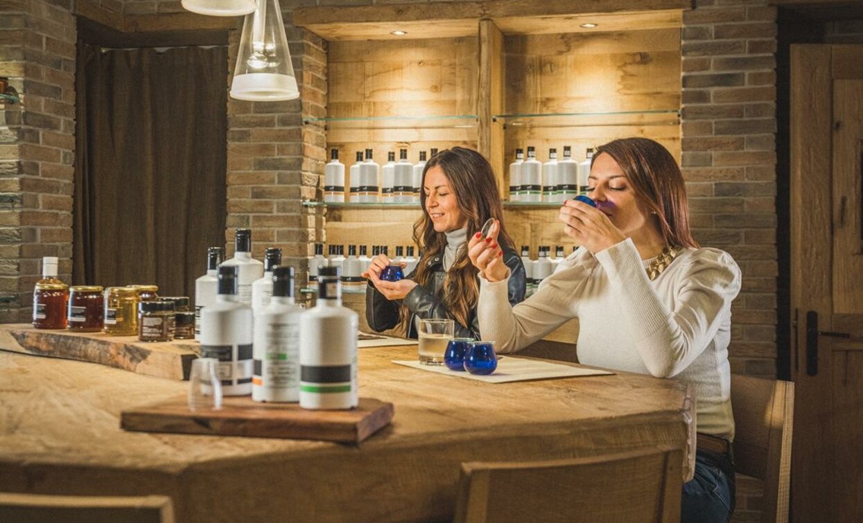 degustazione olio