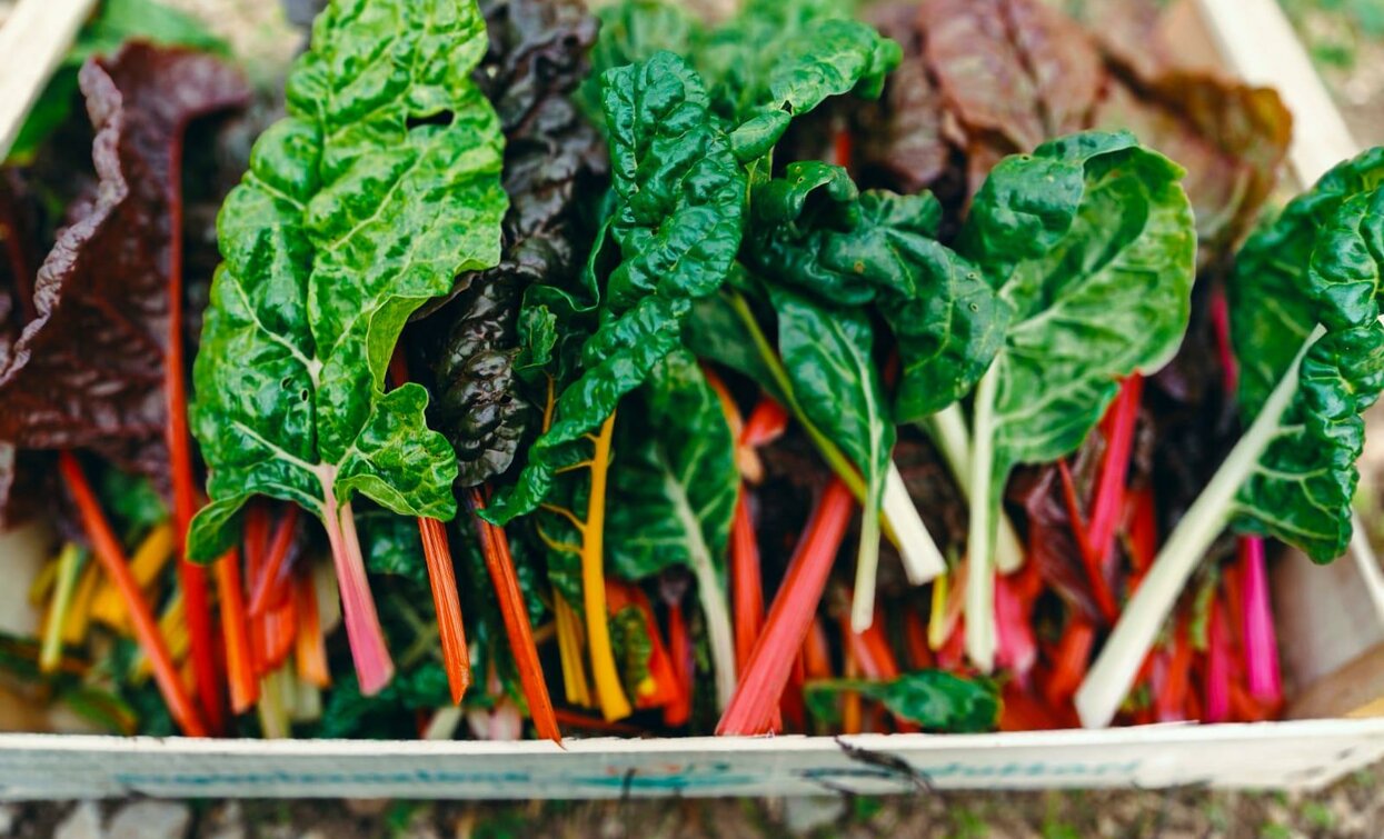 alchimia del gusto
