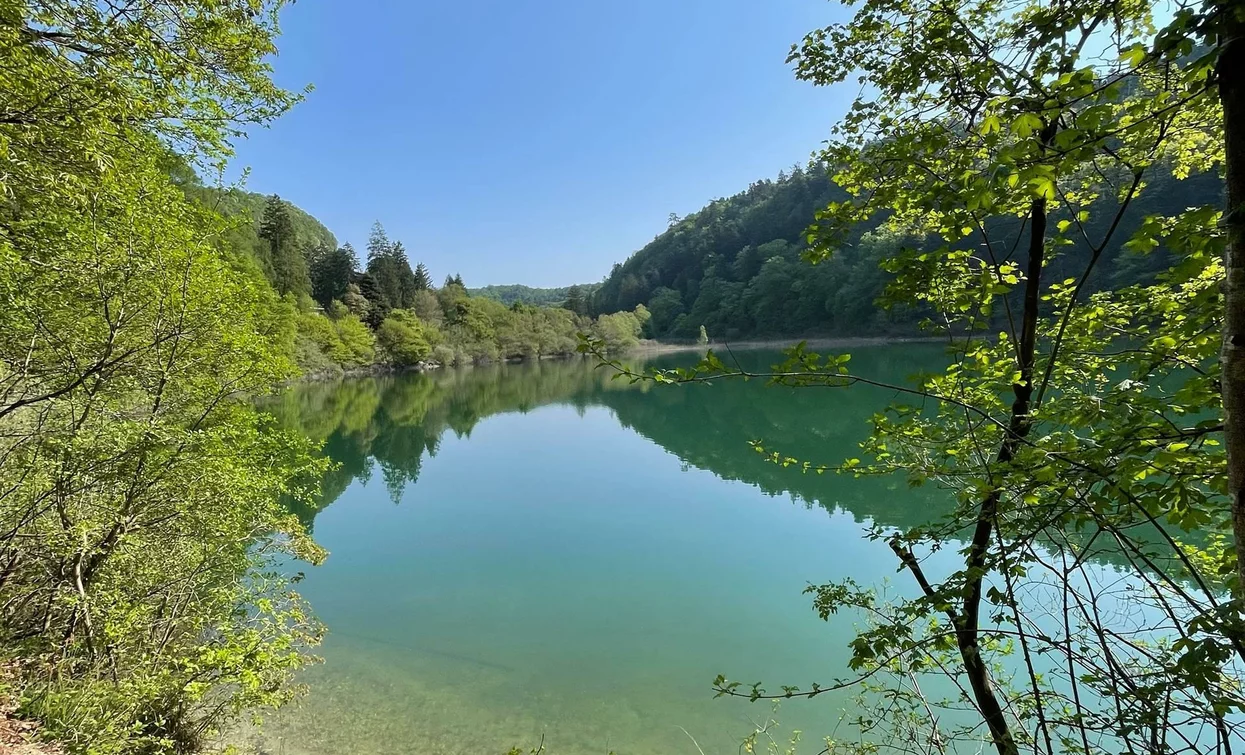 Un lago tranquillo circondato da alberi verdi e colline. Il cielo è sereno e riflette nell'acqua cristallina.
