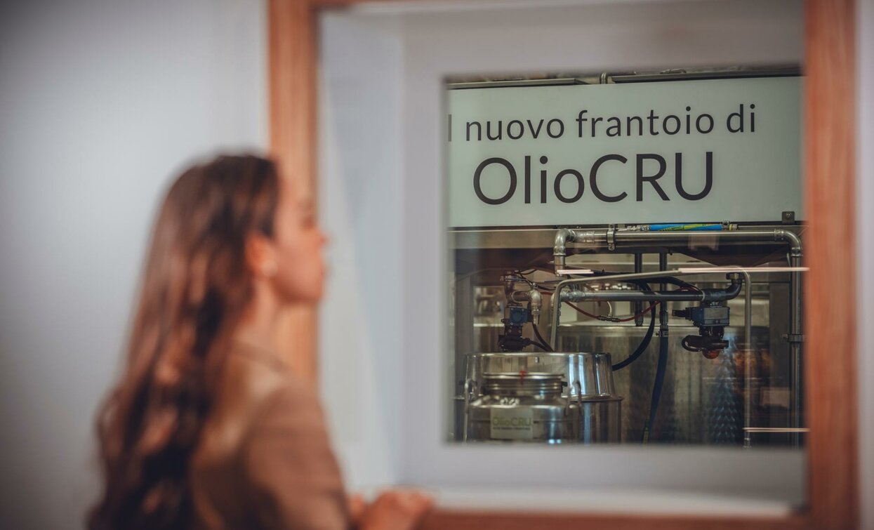 Una donna osserva un frantoio attraverso una finestra. Sulla parete si legge "nuovo frantoio di OlioCRU".