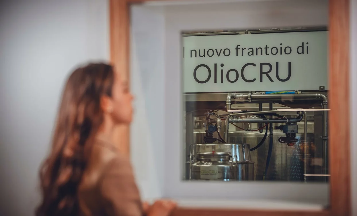 Eine Frau beobachtet eine Ölmühle durch ein Fenster. An der Wand steht "neue Ölmühle von OlioCRU".