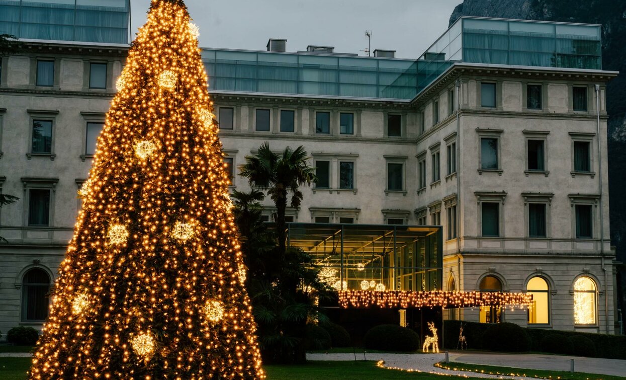 Un albero di Natale splendidamente decorato con luci dorate si erge in un giardino. Sullo sfondo, un elegante edificio in stile storico.