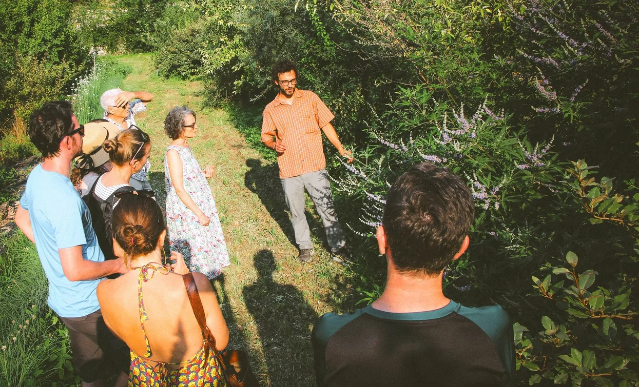 Eine Gruppe von Menschen hört einem Mann zu, der etwas in der Natur erklärt. Sie sind von grünen Pflanzen in einer Außenumgebung umgeben.