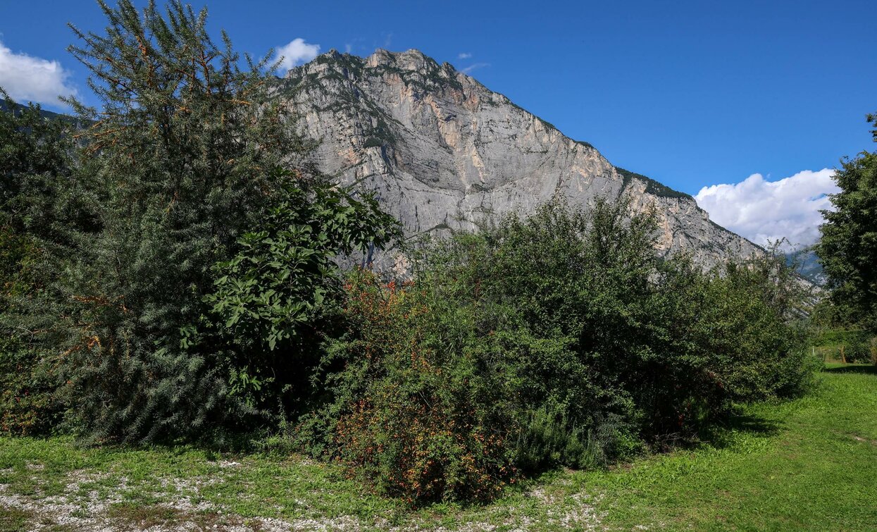 Un'imponente montagna si erge sullo sfondo, circondata da una vegetazione lussureggiante. Il cielo è sereno e blu, creando un contrasto suggestivo.