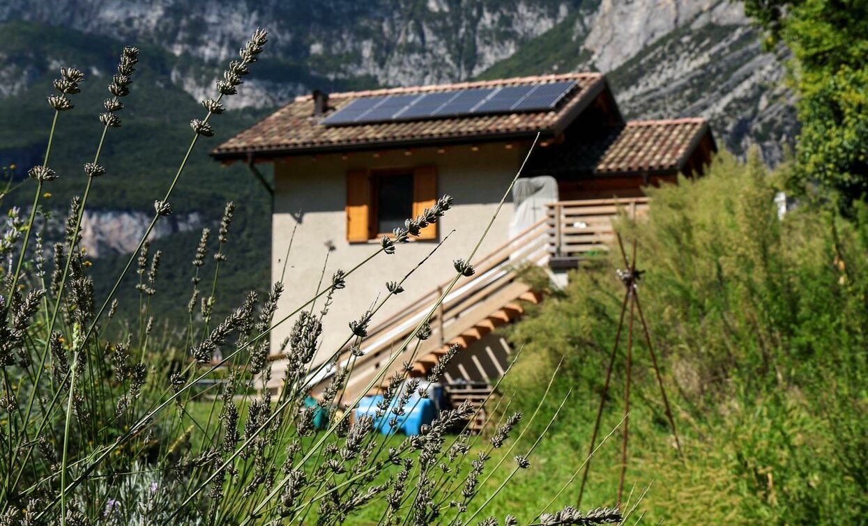 Una casa immersa nella natura con montagne sullo sfondo. Il giardino è caratterizzato da piante di lavanda e un cielo azzurro.