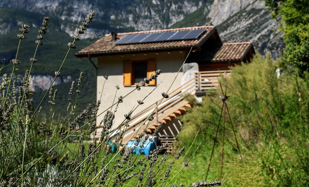A house immersed in nature with mountains in the background. The garden is characterized by lavender plants and a blue sky.